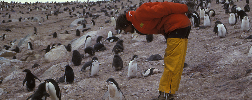 Prof. em. Dr. Cees Passchier, AG Tektonik