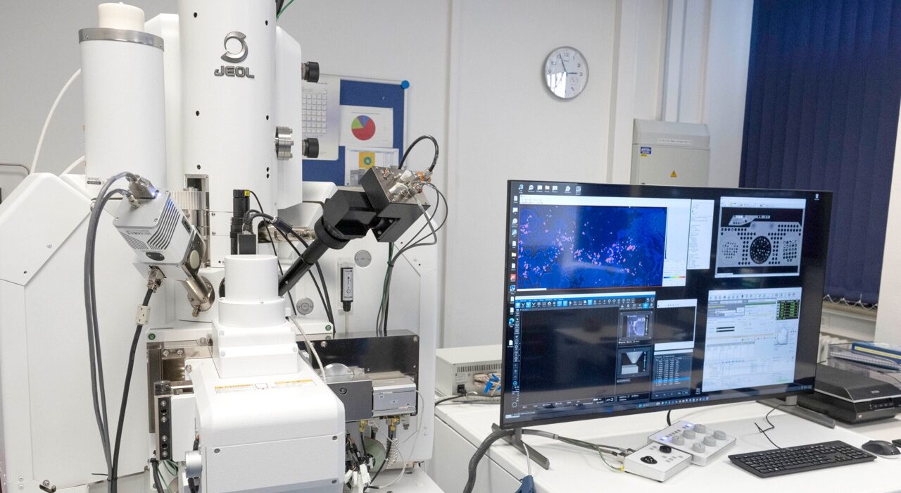 FEG- Elektronenstrahl-Mikrosonde